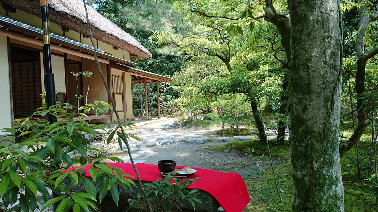 誰にも言えないトラブル、一緒に解決策を探します 時間は解決してくれません。豊富な経験と知恵でサポートします。 イメージ8