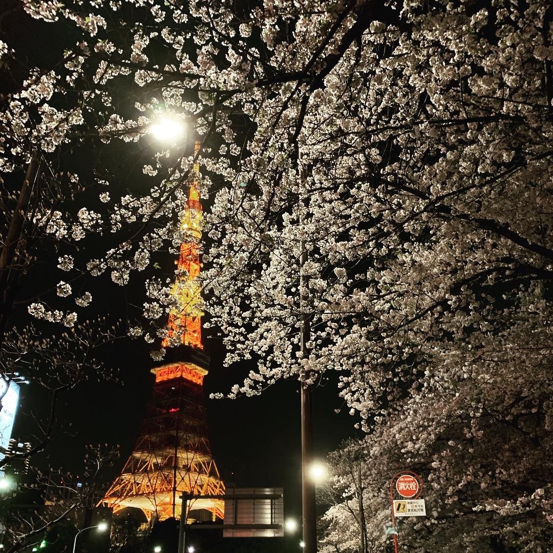 相手の今の気持ち、二人の相性を占います 今ある関係性をどうしていいか迷ってるあなたに届けます。 イメージ2