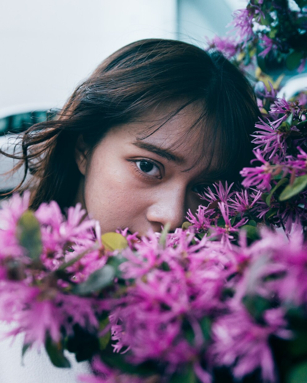 インスタ映えな写真への加工・編集をします 18歳が若者好みの色味へ！！商用利用も可能です イメージ5