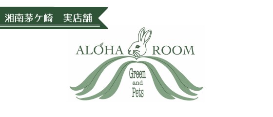 ペットのプロが制作！ペット専門広告作成します ペット業界26年犬、猫、小動物に特化した広告デザイン イメージ7