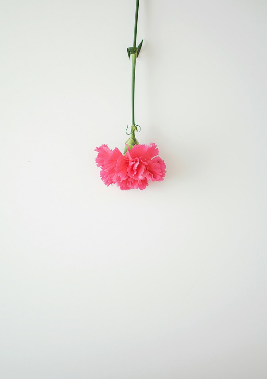 心のもやもやはここで晴らして◎まるっと受け止めます 今の気持ちをすっきり吐き出してくださいね イメージ5