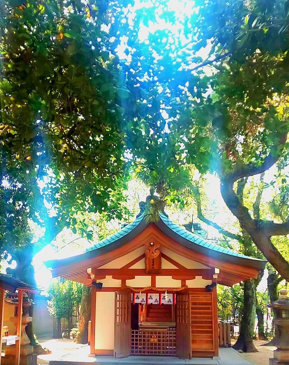 写真に映る見えない存在を霊視します 『導かれるように撮れた写真は、魂からのサインかもしれません』 イメージ3