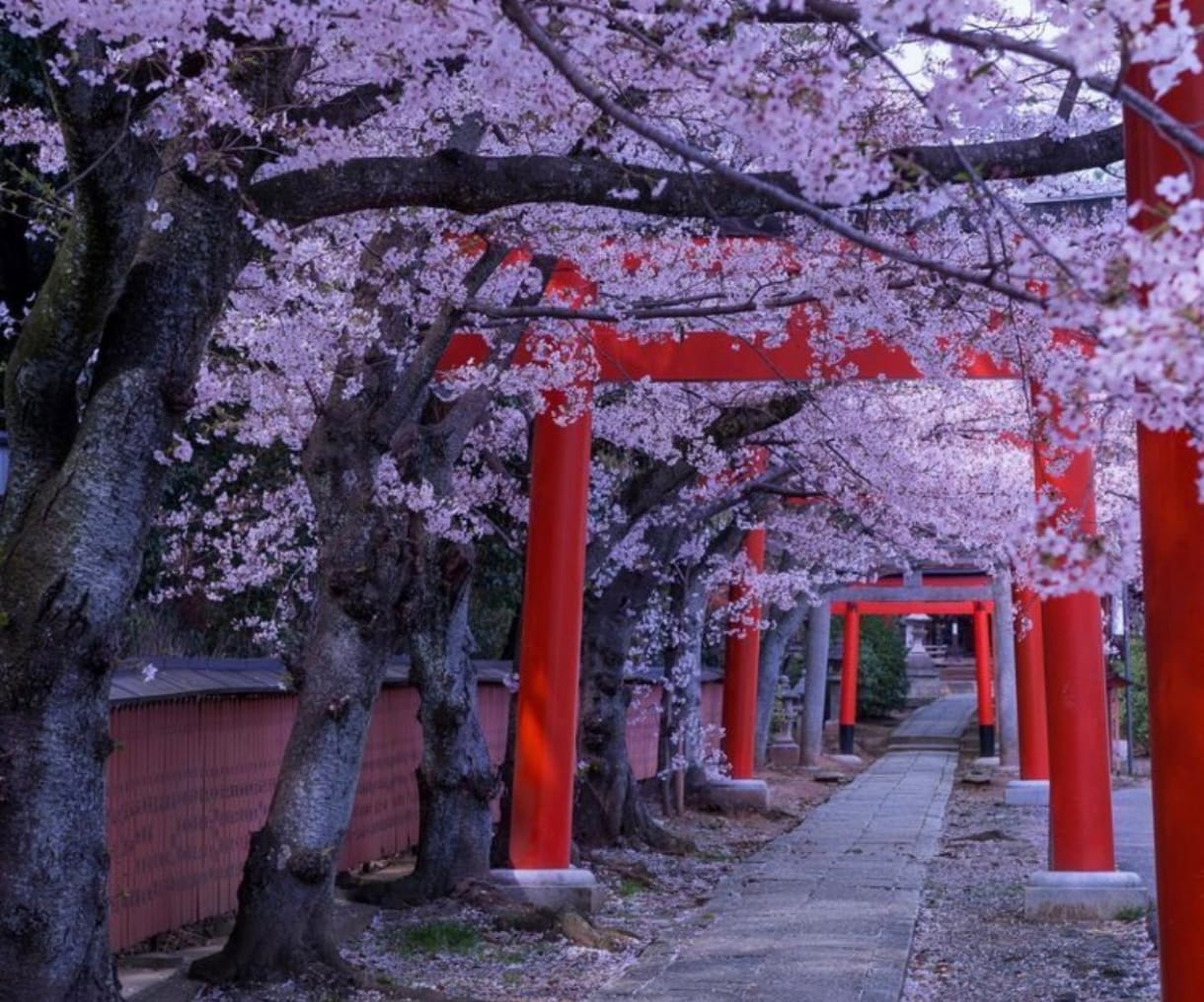 霊視祈祷師が、恋愛・復縁・片思いのお悩みを視ます 「視る」だけでなく、祈祷によって縁や流れを整える イメージ6