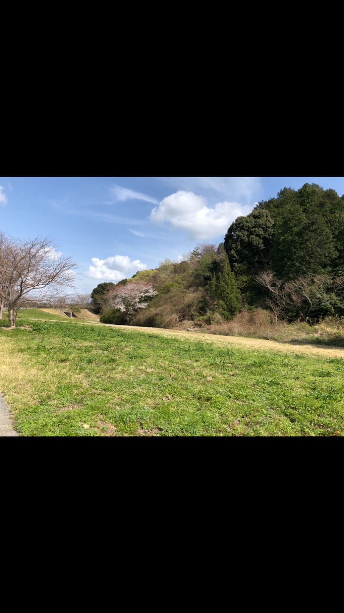 人生の節目を霊感鑑定・姓名判断占いでしっかり視ます 仕事、恋愛など今後の人生に迷われている方、詳しく占います イメージ6