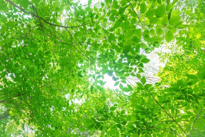 人生に迷っている方、立ち止まっている方を応援します このまま進んだ場合 起こり得る未来を先回りで確認、対策、修正 イメージ5