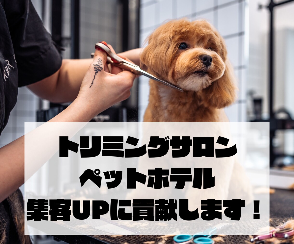 トリミングサロンの経営、相談にのります 【電話でのご対応】【路面店で月400頭以上の実績】 イメージ1