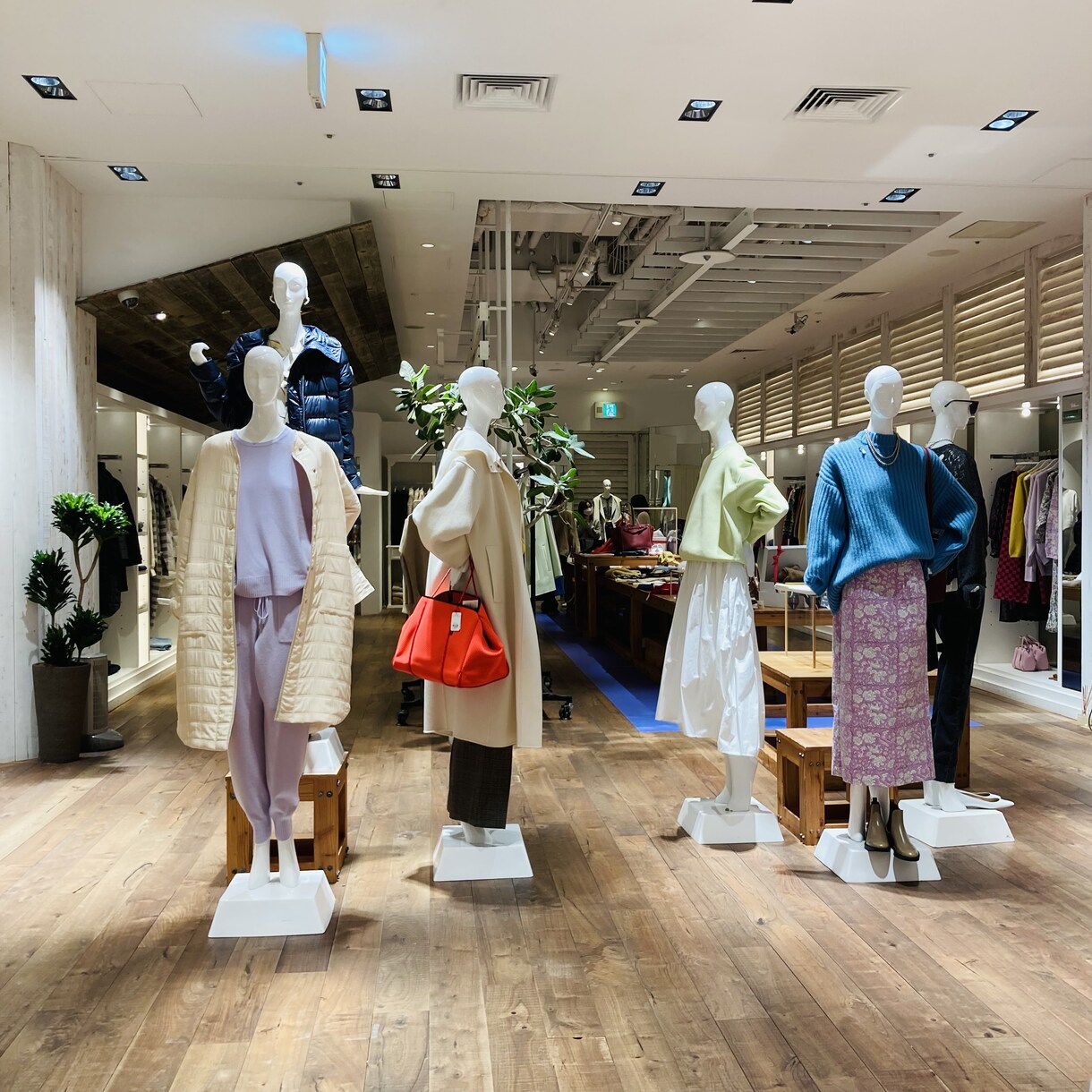テレビスタイリストがファッションのお悩み解決します 洋服に関するお悩み、コーディネートの救世主！ イメージ1