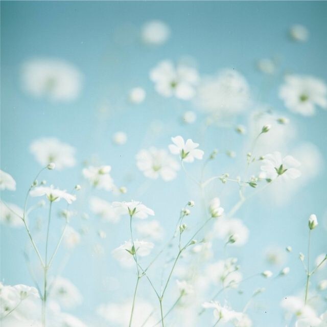 １分でも✨あなたの気持ちに寄り添います ♡おっとり癒し系の私とお話しませんか？/寂しい/もやもや/ イメージ3