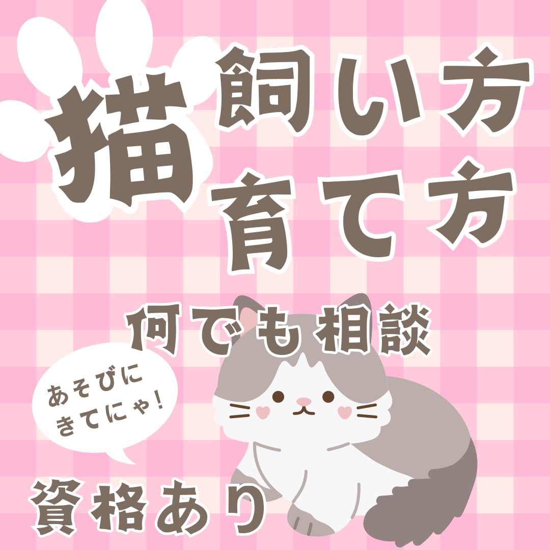 猫の飼い方アドバイザーが愛猫の悩み解決します JLESA認定資格保有。初めての猫暮らしやしつけをプロが支援 イメージ1