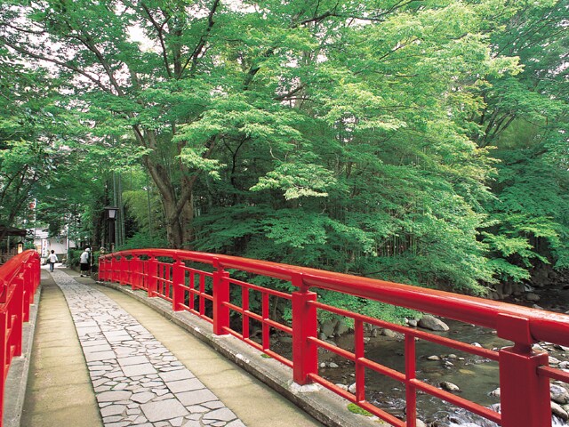 箱根・熱海・伊豆旅行に！貴方に合ったプラン教えます 某旅行会社元社員が貴方好みに宿・観光スポット・プランをご提案 イメージ5