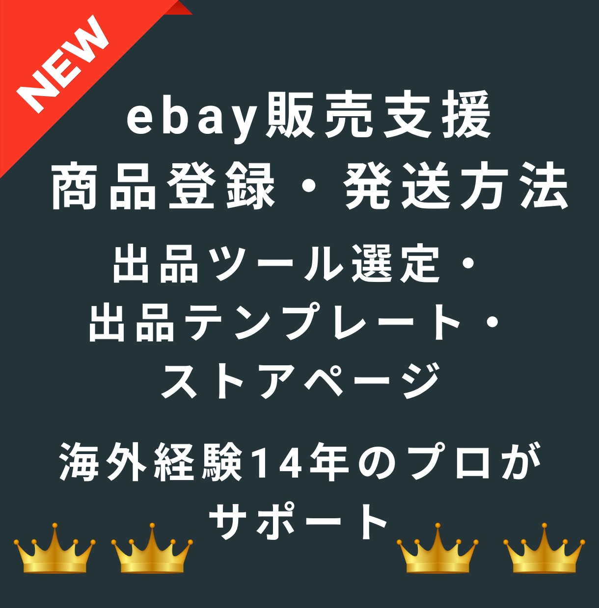 ebay販売支援・出品最適化・運用アドバイスします 14年の経験と40社以上のebay販売支援実績を活かします イメージ1