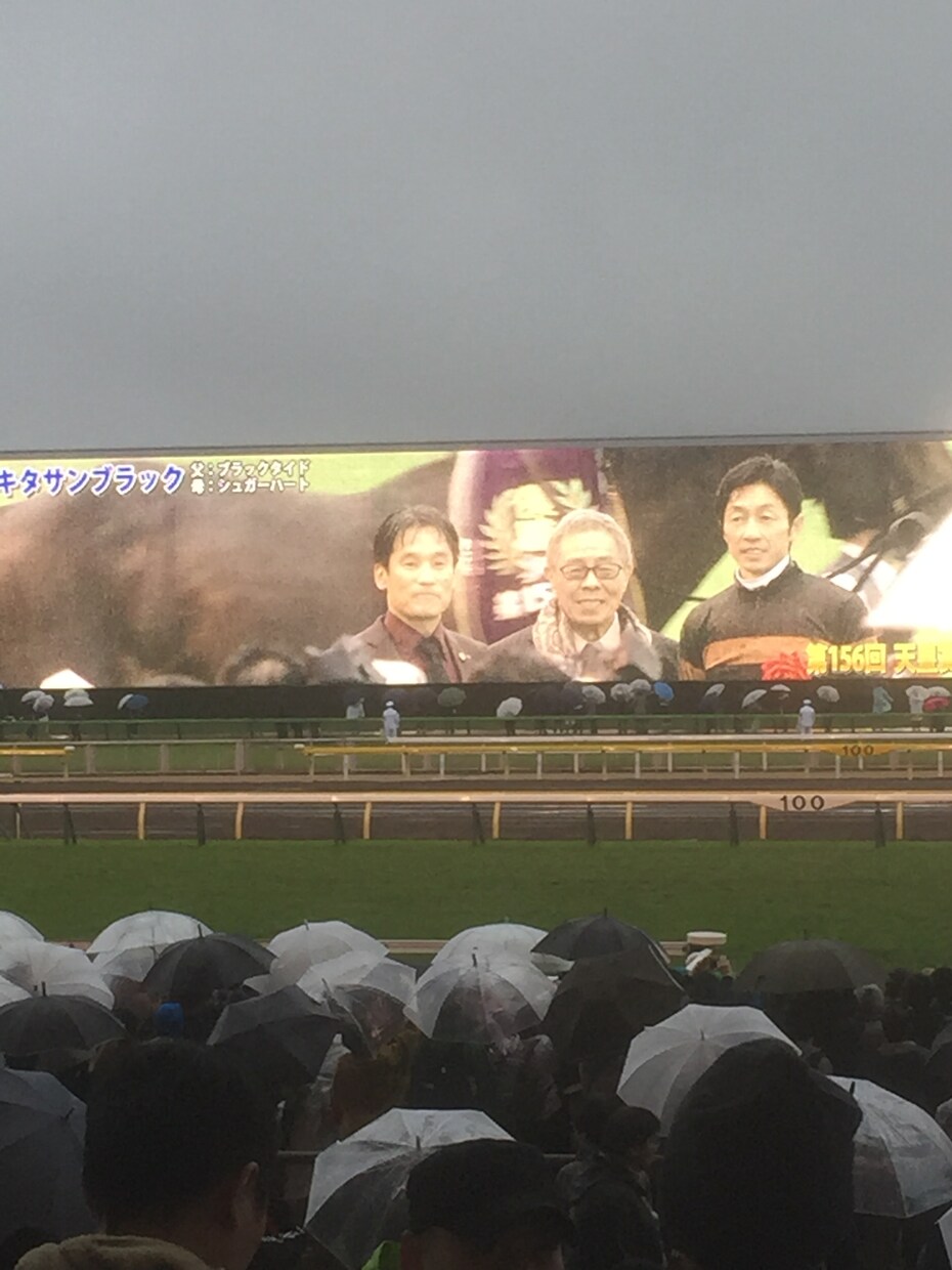 勝てる競馬予想売ります 競馬で楽しむだけでなく、負けたくないあなたへ イメージ3