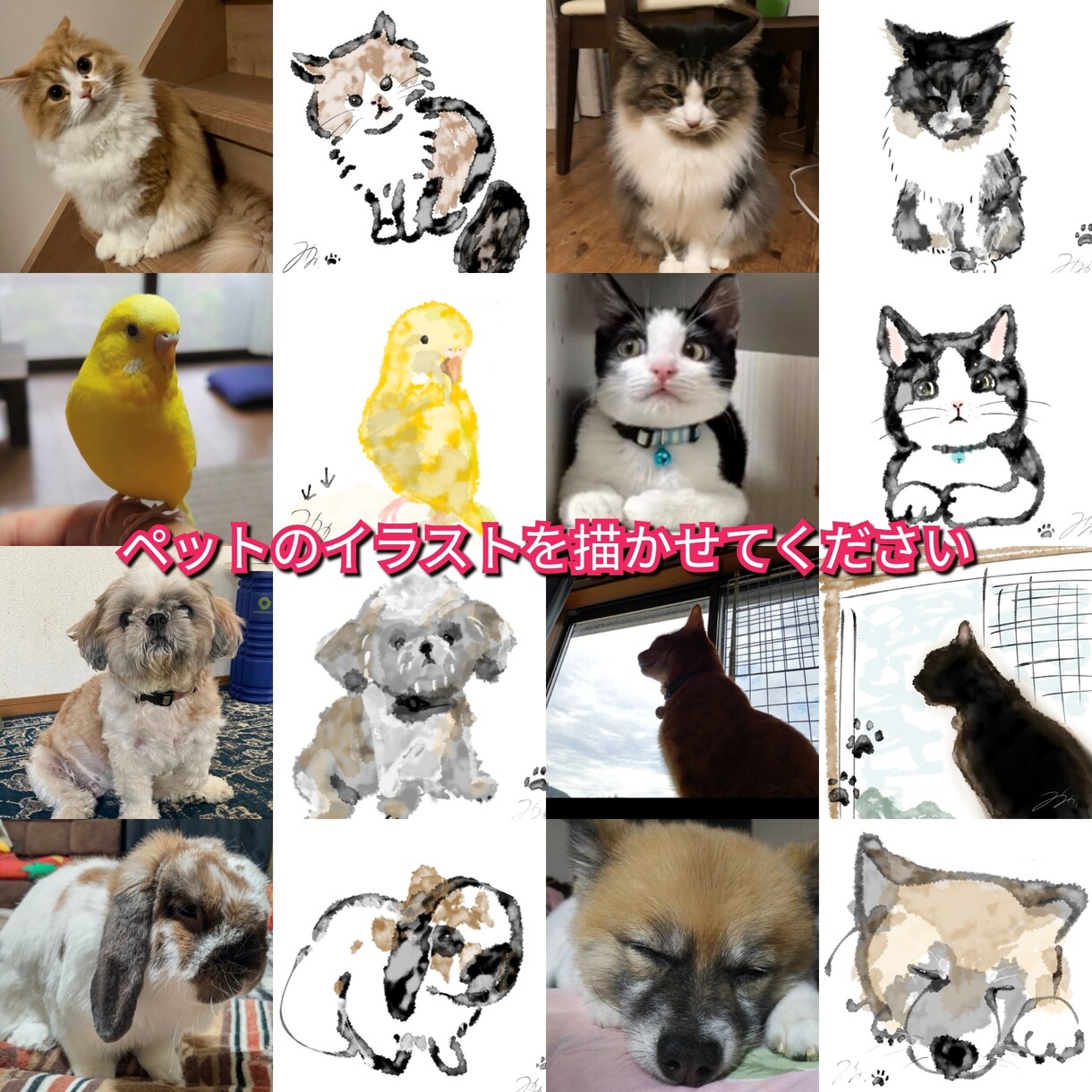 現役イラストレーターがペットのイラスト描きます お写真をいただき、雰囲気に合わせたペットのイラストを描きます イメージ5