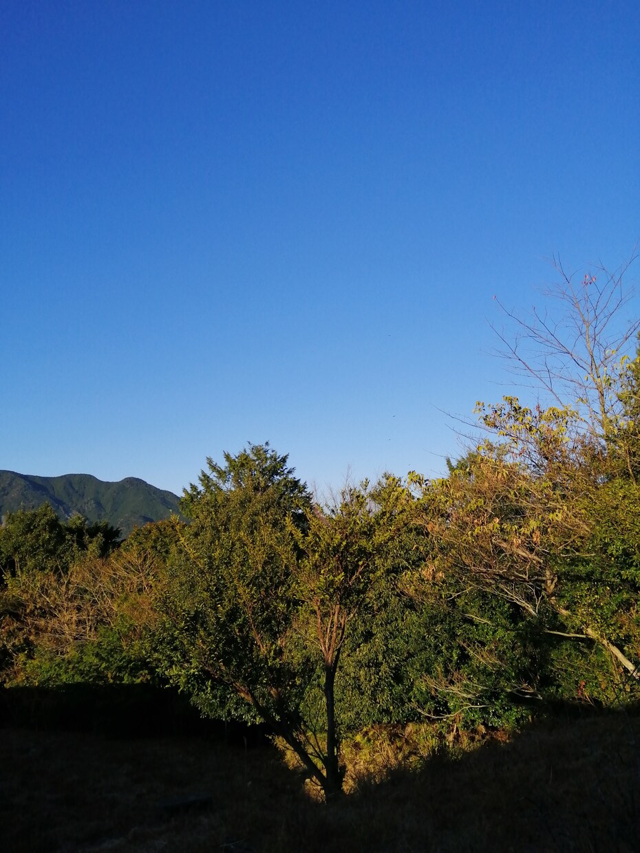 苦しくて本当に辛い、仕事の人間関係のご相談乗ります 意地の悪い上司、同僚、もう限界！調子に乗るな！ふざけるなっ！ イメージ4