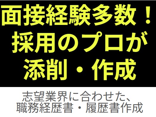 履歴書・職務経歴書の作成を代行します 人事歴4年の知見から、“見られるポイント”をお伝えします イメージ1