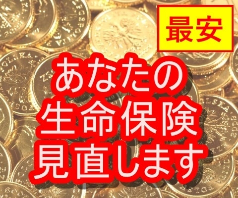 最安！現役FPがあなたの生命保険を見直します 生命保険を見直して、毎月の支出を大幅カット！ イメージ1