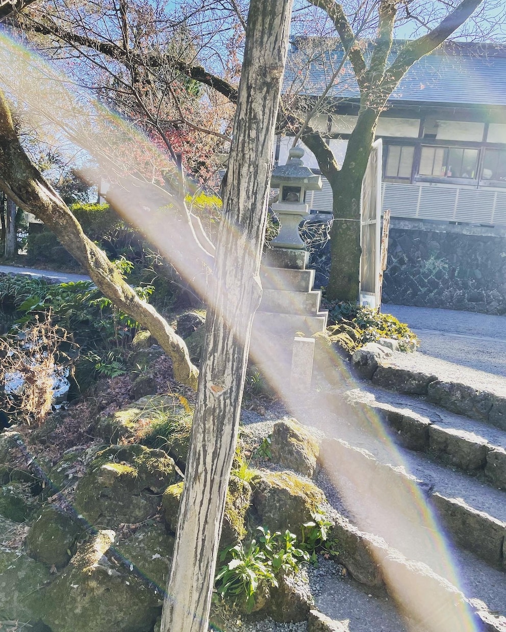 お試し価格　不安ですか？今はっきりと答えを出します お相手ののハイヤーセルフと繋がり質問の答えをズバッと伝えます イメージ1