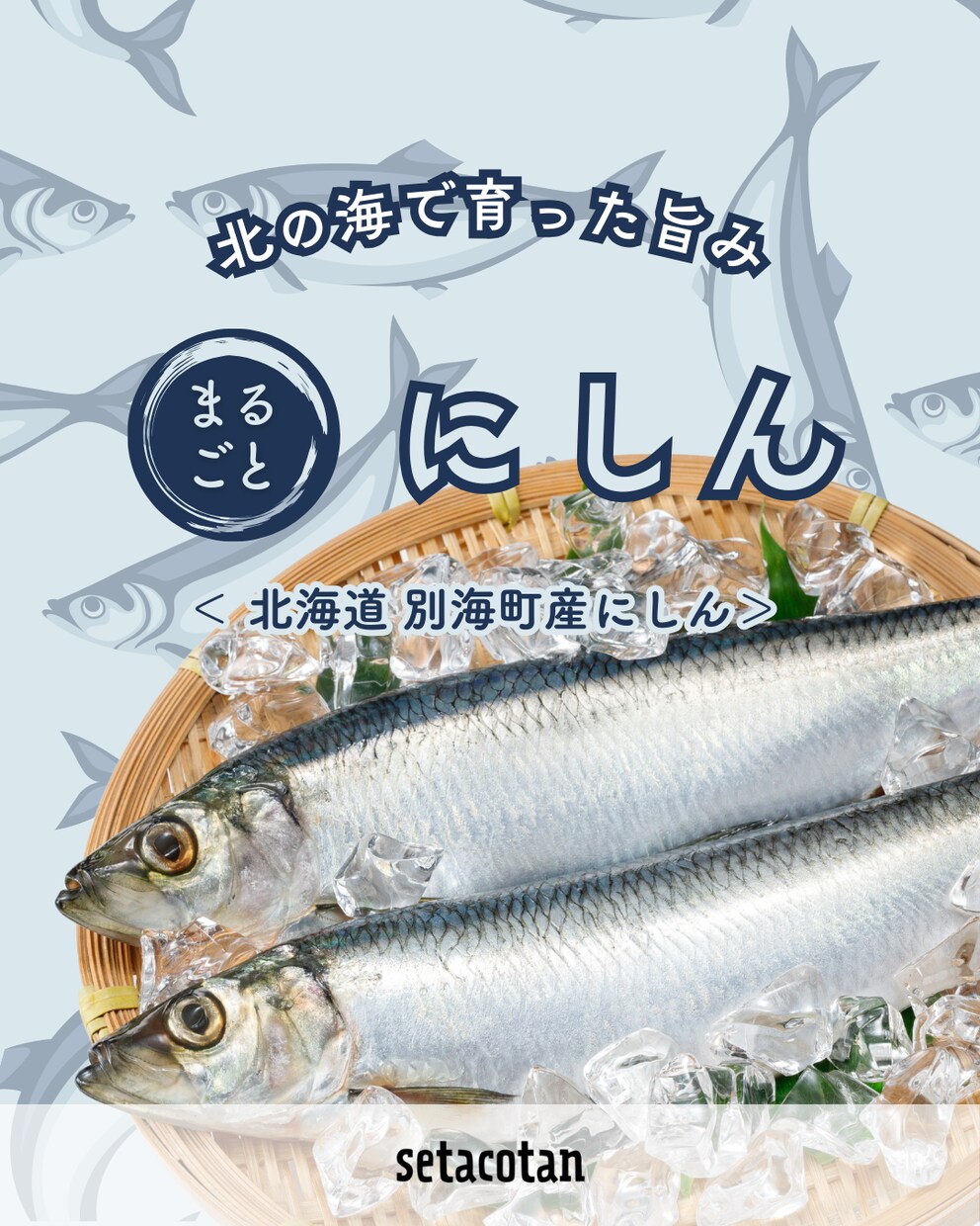 おしゃれで見やすく、「売れる」チラシ作ります 商品の魅力を引き出します＜カフェ・サロン・個人店さま歓迎＞ イメージ4