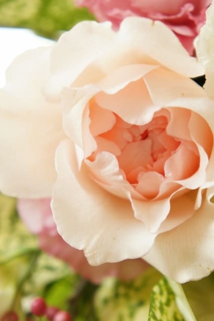 生花のことなんでも相談にのります キャリア30年以上の現役花屋が教える花と暮らしのいい関係 イメージ6