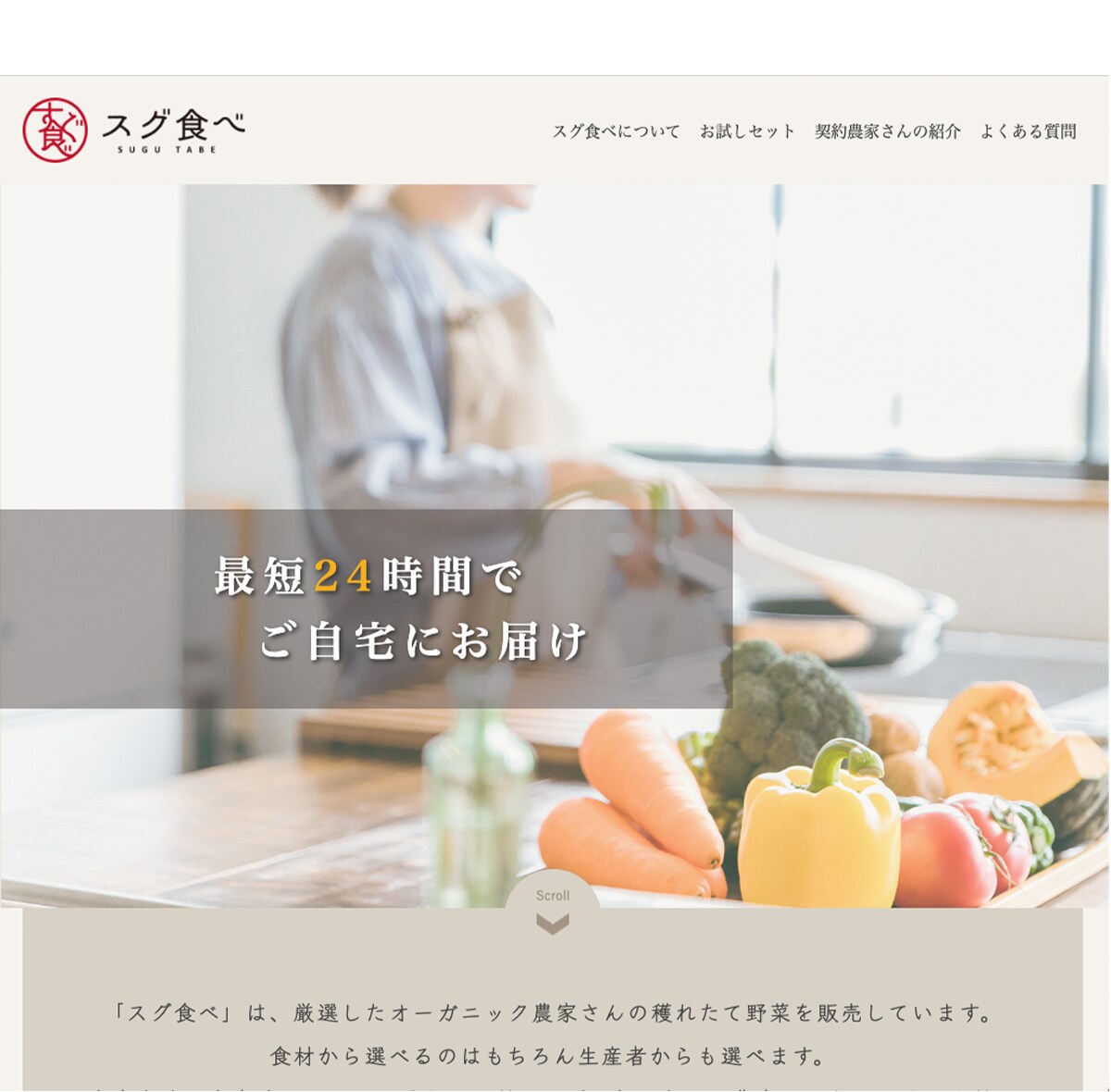 Wixでランディングページを制作いたします 個人、起業、独立して頑張るあなたを全力でサポートします！！ イメージ7