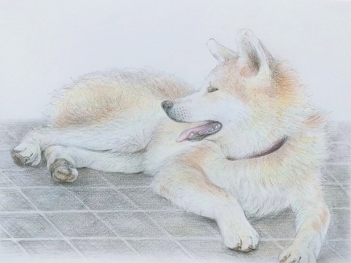 色鉛筆でふんわりモフモフ優しいペット似顔絵描きます 美大卒が手描きで世界にひとつの、ハイクオリティな絵を制作！ イメージ3