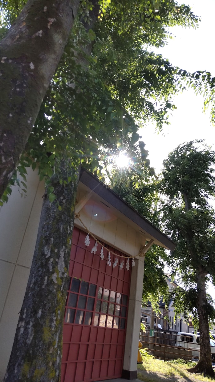 カテゴライズできないことを霊感とカードで占います 何占いと言えない総合的なことをご相談ください。 イメージ5