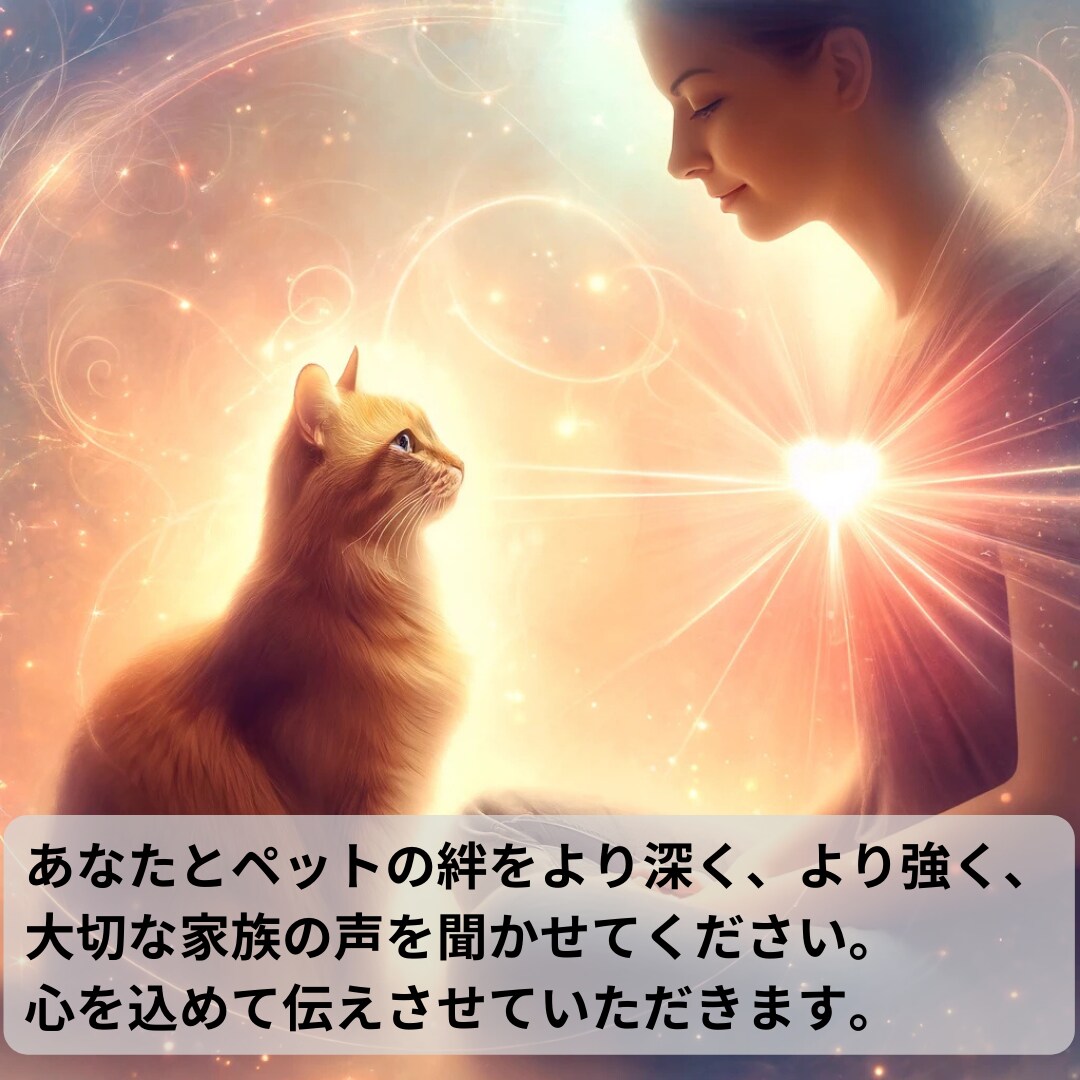 霊感霊視と四占術でペットの気持ちを精密に視ます 大切な家族の気質や本音をロジカルに分析し絆を深めます イメージ7