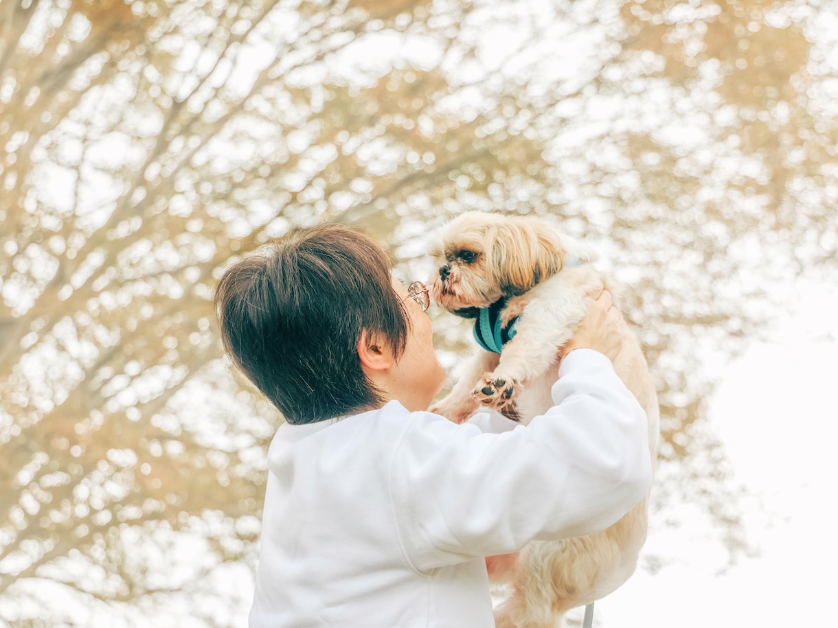 カメラマンがお子さんやご家族の写真を撮ります なんでもご相談にのります！よろしくお願いします。 イメージ7