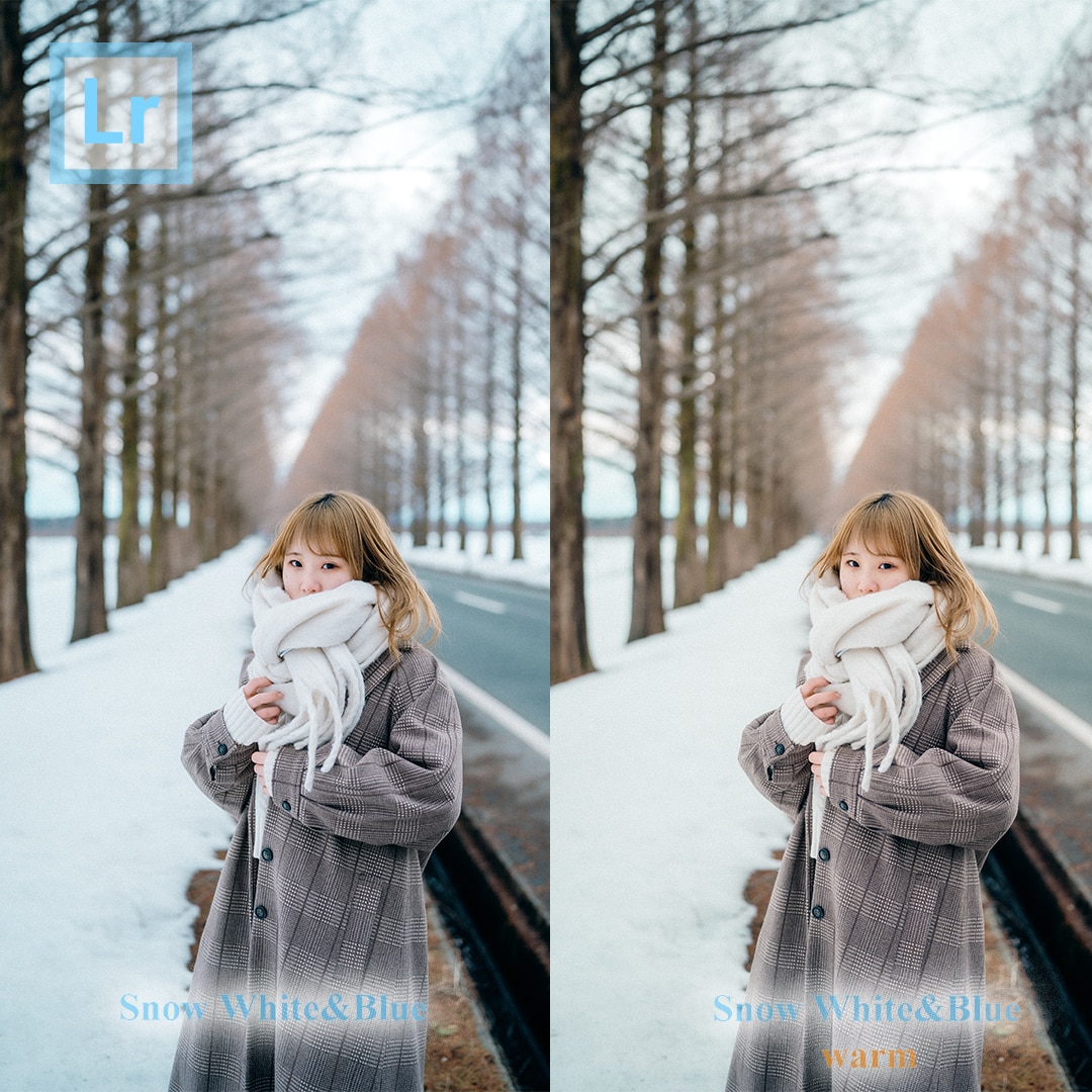 冬を美しく引き立たせるLRプリセット販売します 〜冬の写真を印象的で温度を感じる美しい作品に〜 イメージ6