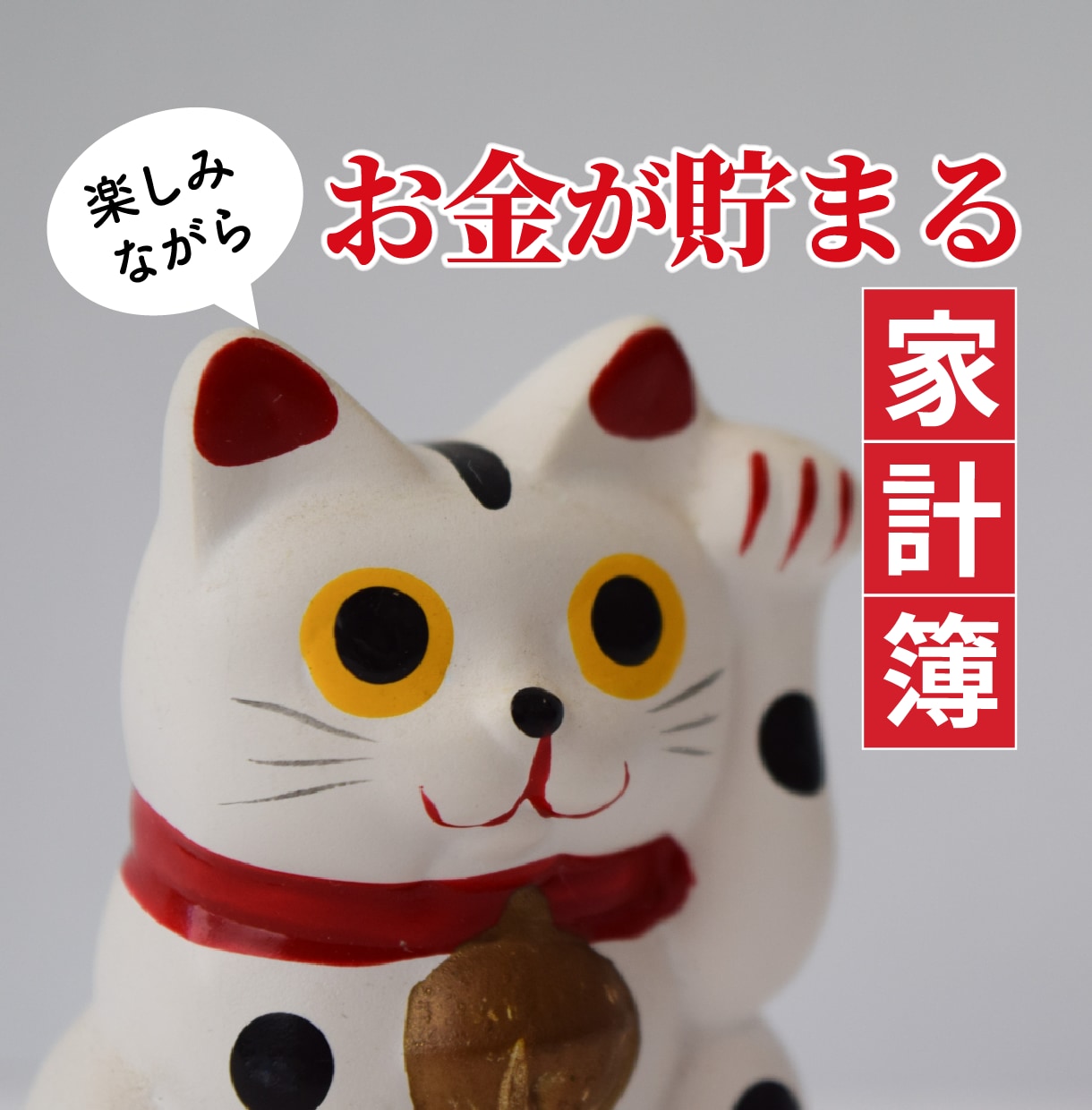 家計簿【エクセル簡単入力】楽しくお金が貯まります 月末の赤字解消、無理なく貯蓄実現！キャッシュレス・クレカ対応 イメージ2