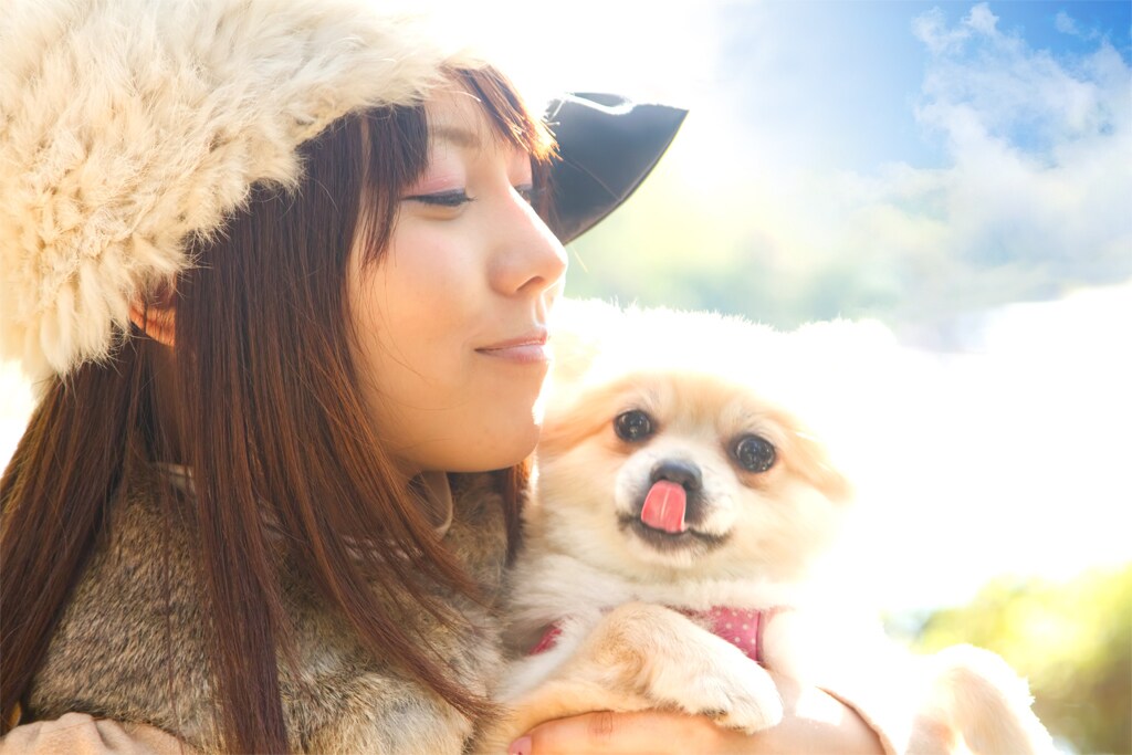 Webサイト向け画像【5枚】修正いたします 色合い調整や補正、写り込みを消したいなどご相談ください。 イメージ2