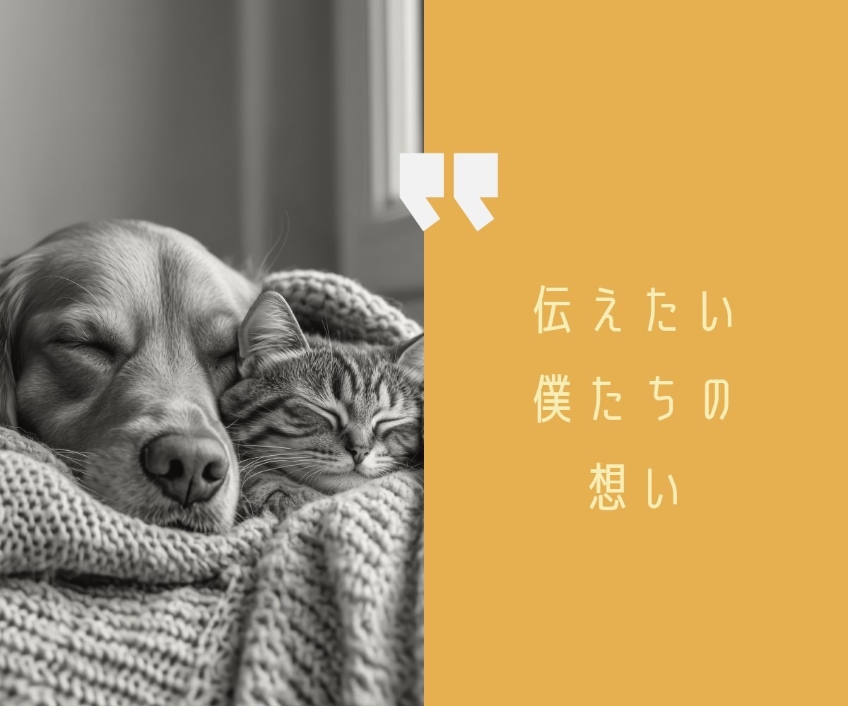 ペットからあなたへ…心のメッセージ伝えます |涙の先にある温もり　あの子が伝えたかったこと イメージ2