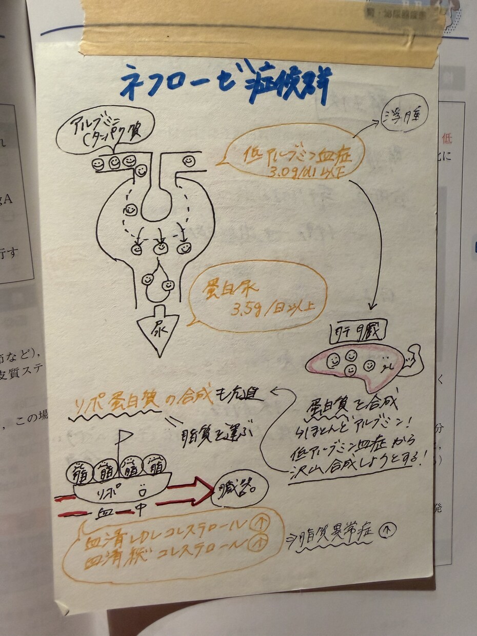 現役看護師が看護過程・アセスメントをサポートします 看護学生の睡眠時間を確保するのを応援します！脱オール！ イメージ2