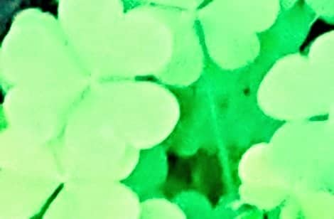 愛を開運させたい貴方に心のヒーリングいたします なんとなく愛というものに臆病な貴方に受け取りこと語ります イメージ2