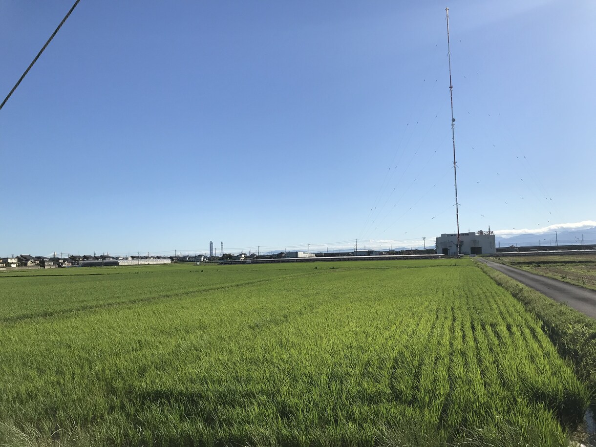 話したいお悩みなんでも相談ききます 今の悩みを誰にも打ち明けられない時に僕に話してください！ イメージ1