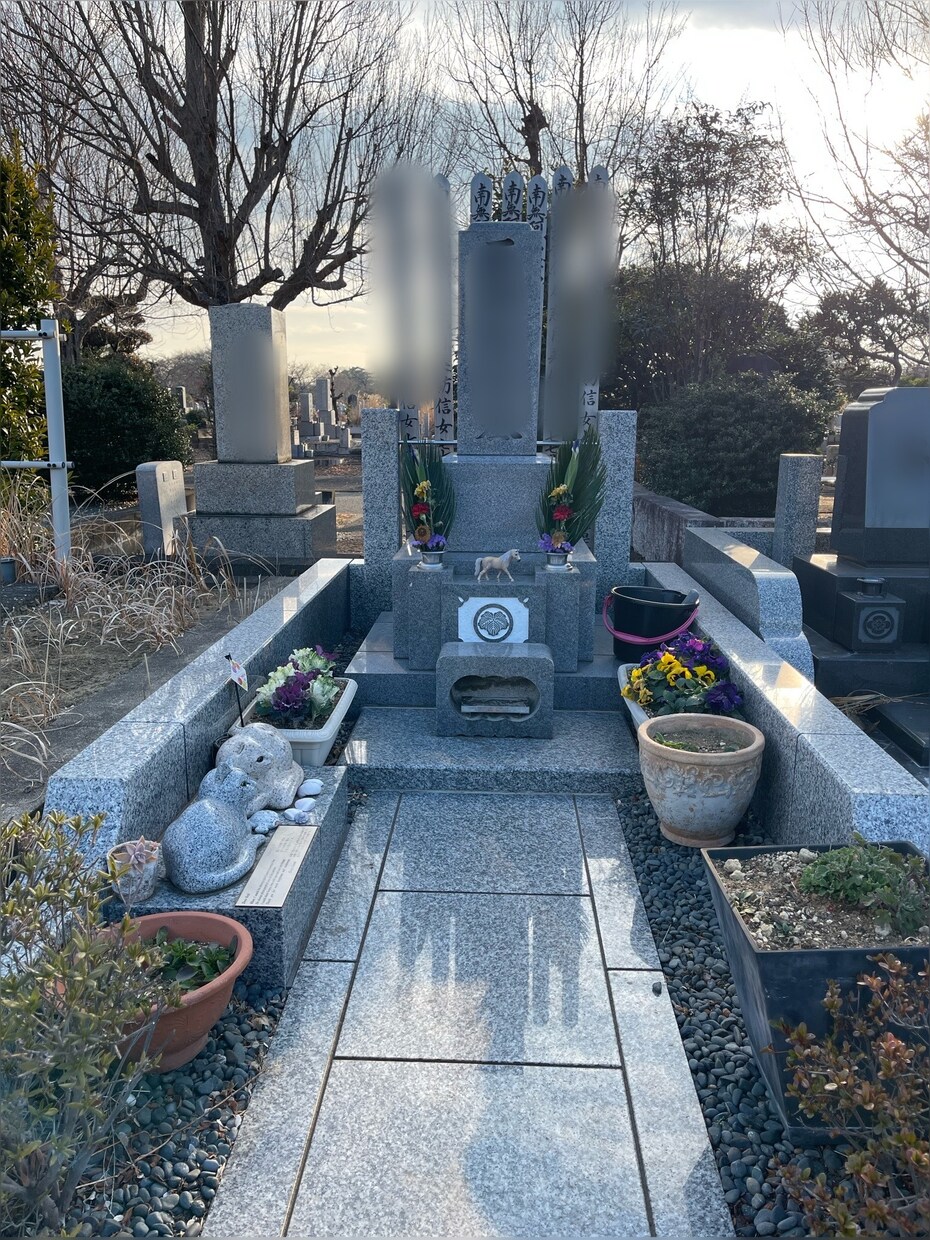 お墓の今を、写真でお届けします お彼岸・お盆・命日前に、あなたに代わってお墓を確認します。 イメージ1