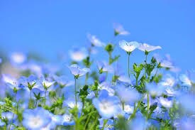つらくてしんどい介護のご相談や愚痴をお聞きます 介護の愚痴家庭の介護も介護職の方もOK、話して心を軽くします イメージ4