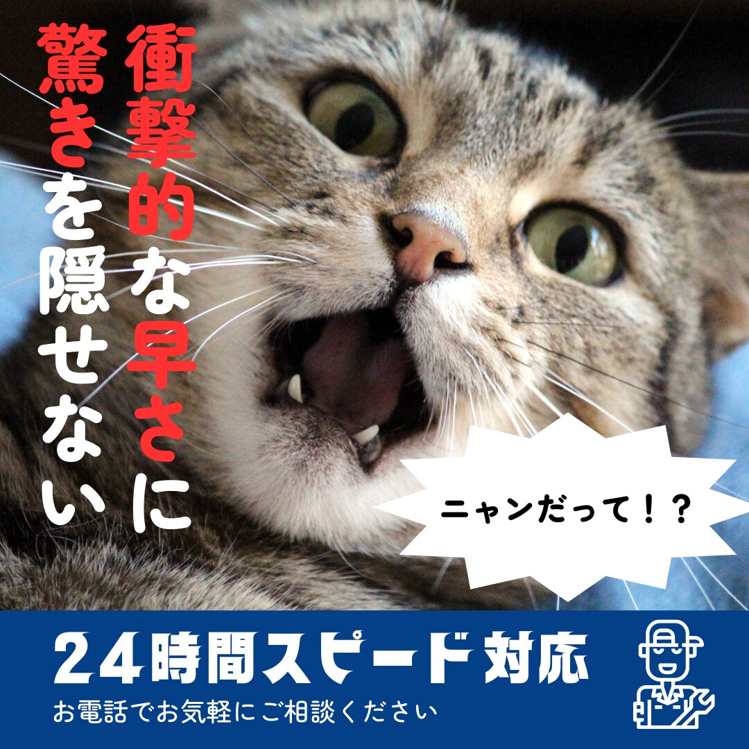 ペライチでランディングページを丁寧に制作します LP知識が無くても大丈夫！理想のLPを丁寧に制作致します！ イメージ7