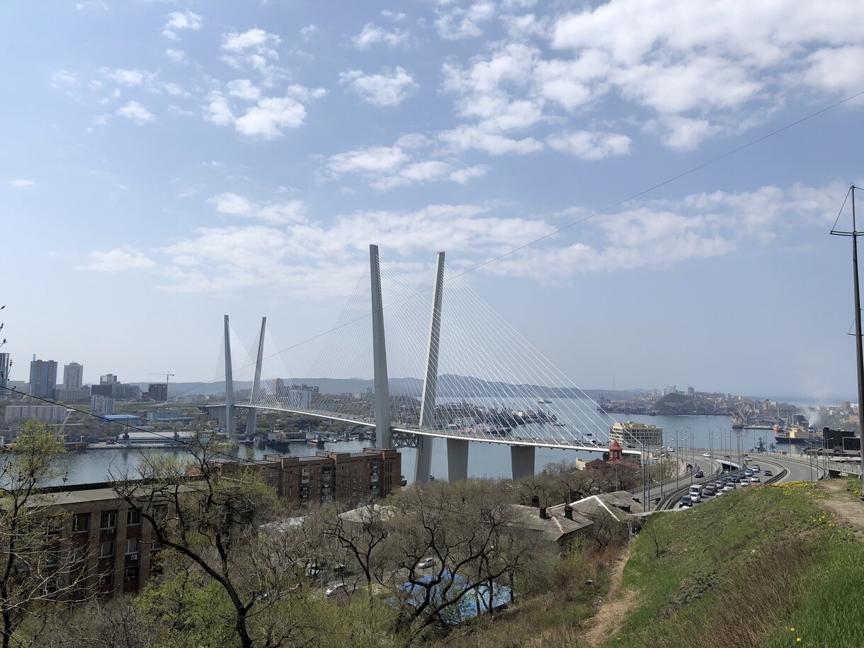 ロシア電子ビザ代行申請します シベリア方面に行かれる方へ必須の電子ビザ代行します！ イメージ1