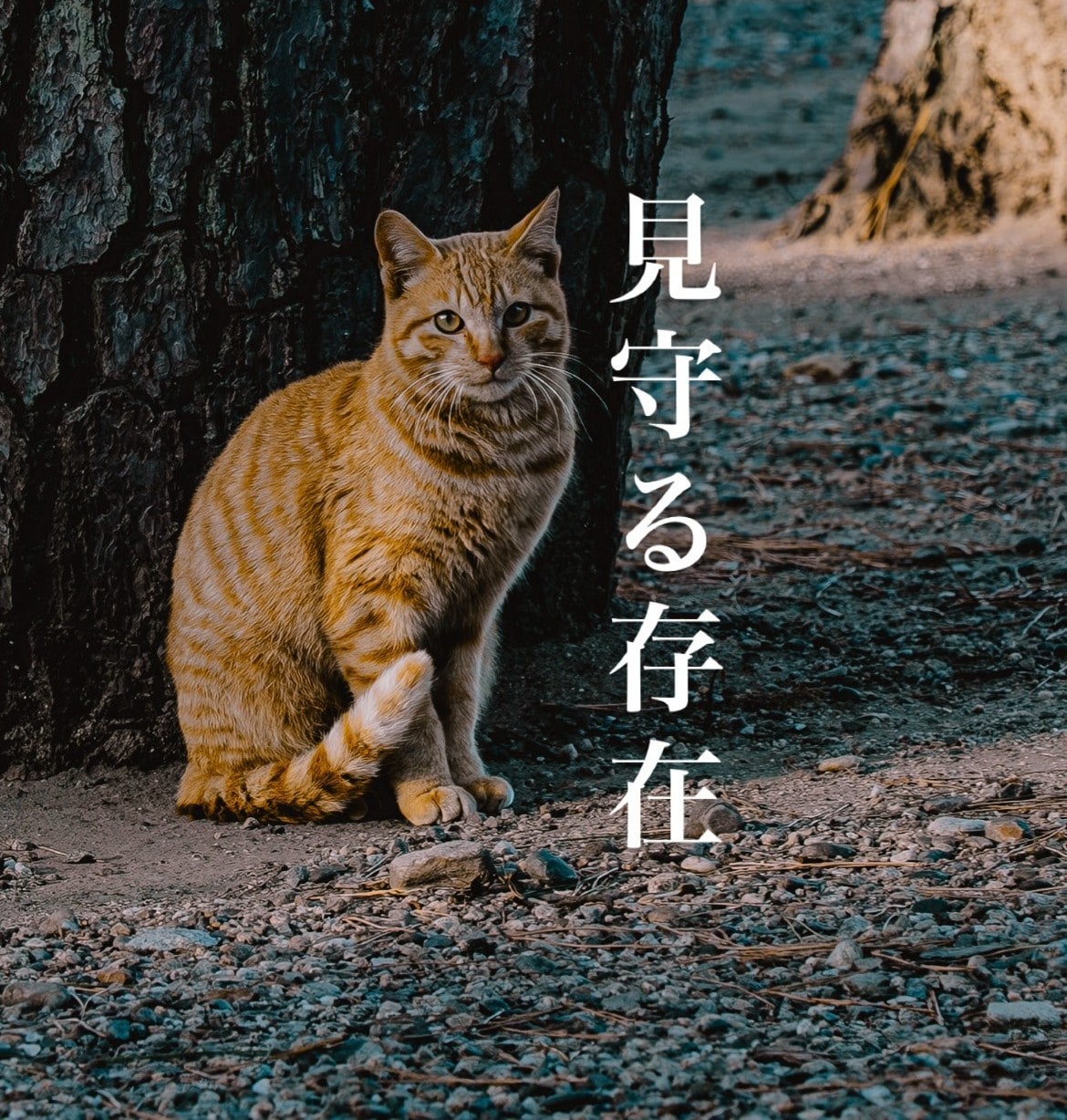 あなたを見守る存在についてお伝えします 気配や視線の正体を知りたい方へ イメージ1