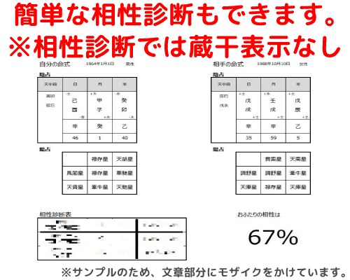 算命学ソフトを使って命式を簡単に出します 生年月日を入力するだけで、誰でも鑑定することができます！ イメージ7