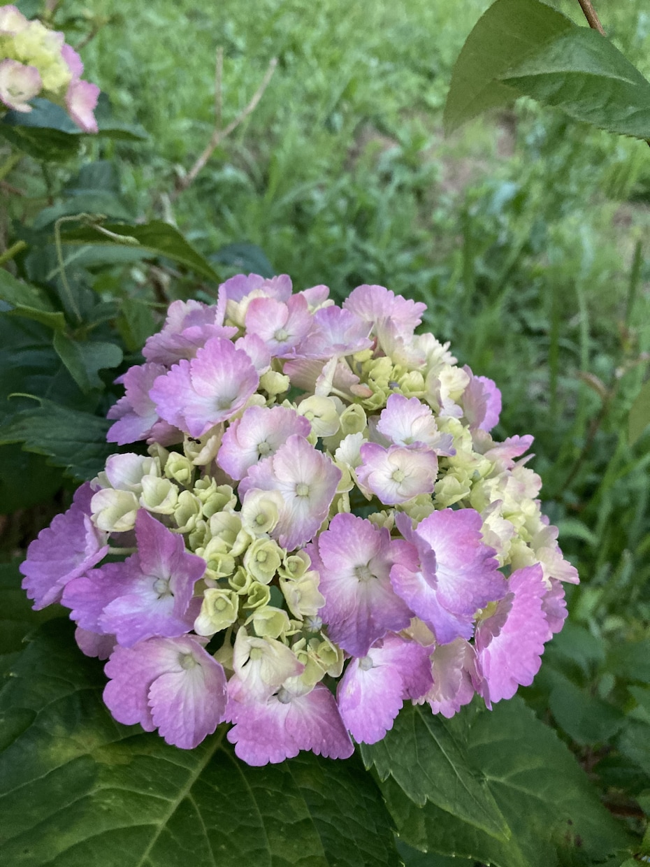 何でも寄り添って聞きます 子育てや今まで味わった何もかもを生かしてお話し聞きます！ イメージ1
