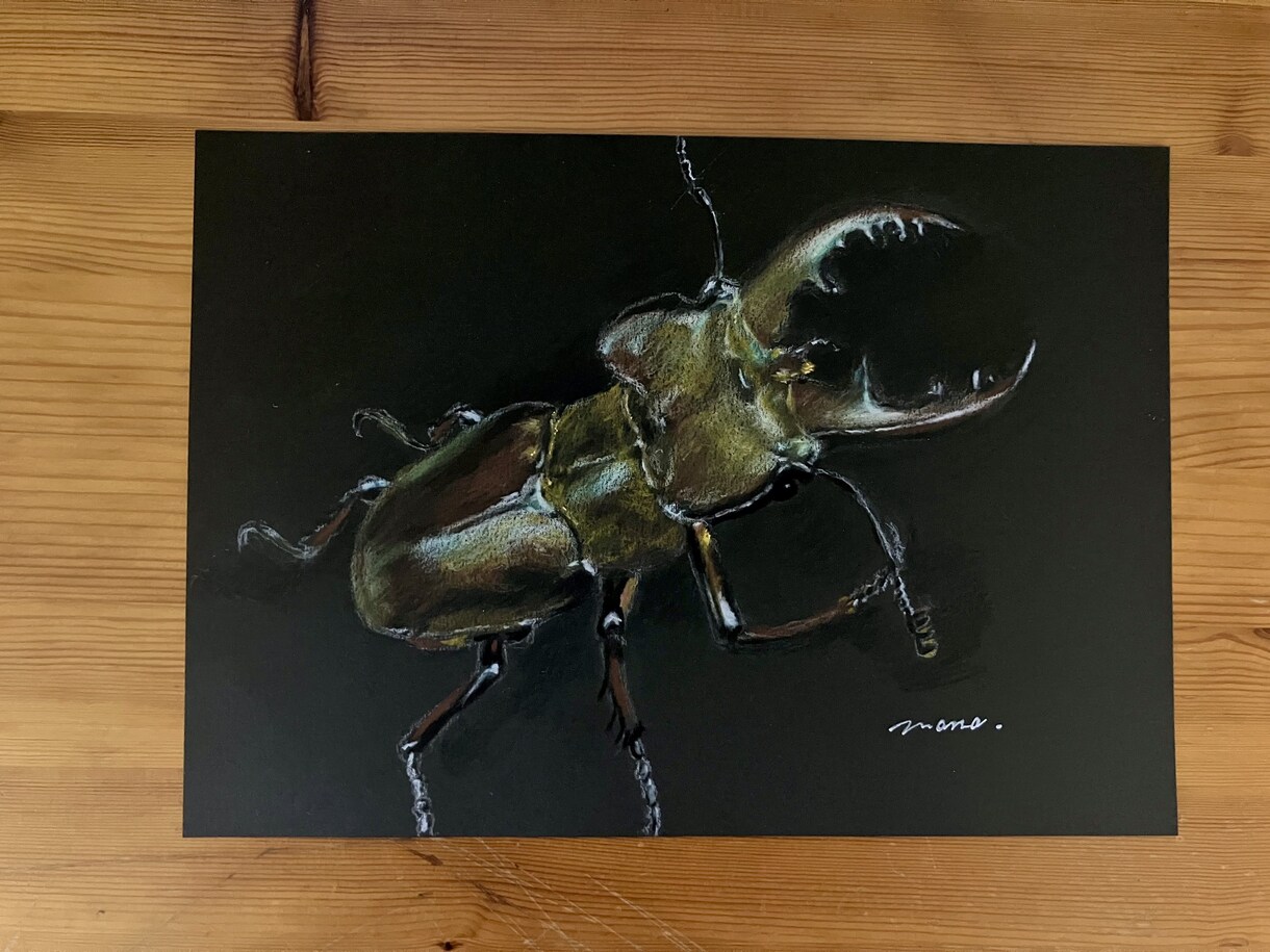 黒紙に色鉛筆でリアルな絵を描きます 黒紙アートとは他にない黒紙に色鉛筆でリアルな絵を描くアート イメージ9