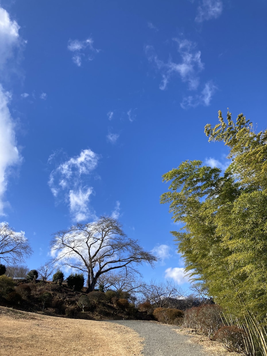心が軽くなるお手伝いをいたします 話す事で、また前向きに生きることができます。 イメージ2