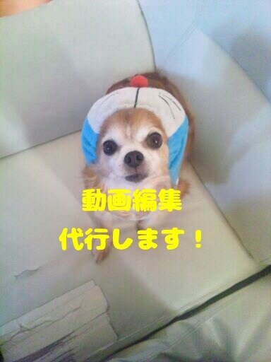 BuzzVideoやYouTube 編集代行します 独学で覚えた編集技術ですが自信あるのでよろしくお願いします！ イメージ1