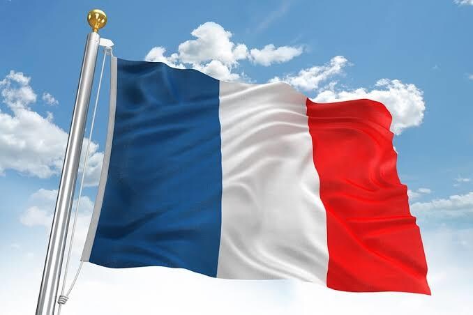 ネイティブ直伝！フランス語レッスンをします 「初心者から上級者まで対応可能！」 イメージ1