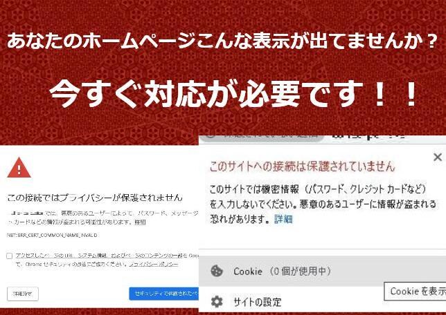 wordpressサイトを常時SSL化致します 信頼、売り上げの低下を抑えよう イメージ1