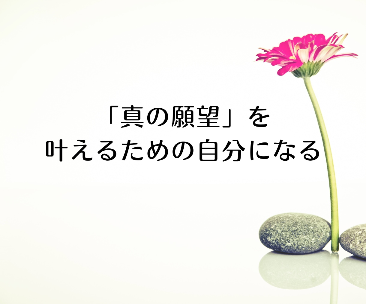 感情の思い込みやトラウマを手放し望む未来を叶えます 自己肯定感が高まり潜在意識レベルでセルフイメージを書き換える イメージ9