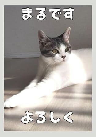 大切なペット写真集をペーパーバックで制作します 一緒に過ごす幸せ　癒しと笑顔の瞬間を写真集で残そう イメージ1