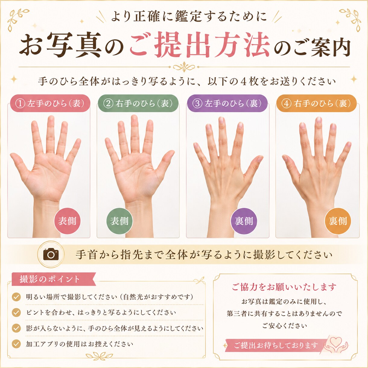画像付きであなたの手相を丁寧に鑑定いたします 鑑定結果はPDFデータでお渡しいたします イメージ2